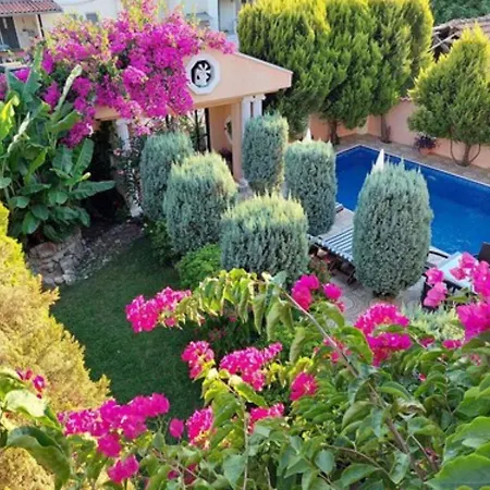 Palace * ダルヤン