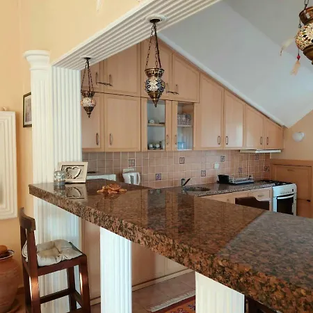 Palace ヴィラ ダルヤン