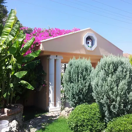 Palace فيلة *