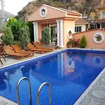 Palace Villa *