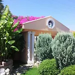Palace Villa *