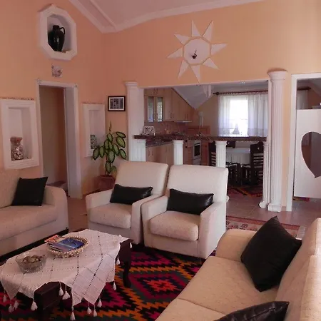 Palace דליאן