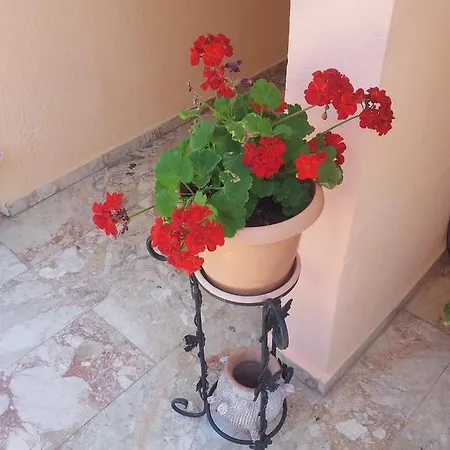 וילה Palace *