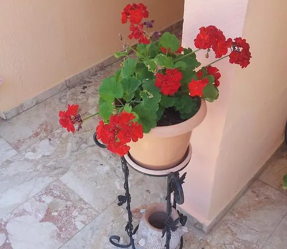 Villa Palace *